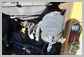 Cat<br>236D Air cleaner<br>