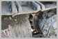 Cat<br>320D FM Sprocket<br>