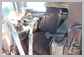 Cat<br>D9T Seat<br>
