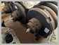 Hitachi ZX450LC-3 - Coilspring Coilspring<br>Aftermarket<br>