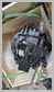 Moteur de traction - Caterpillar 323 Final<br>drive<br>Aftermarket<br>