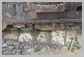 John Deere<br>350D Garde-Pierre<br>