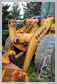 John Deere<br>544E Bellcrank<br>