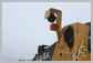 John Deere<br>644K Support de lumiere<br>