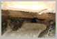 Komatsu<br>D61EXi-23 Sprocket<br>