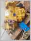Komatsu<br>D61PX-12 Pump (main<br>hydraulic)<br>