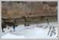 Komatsu<br>PC308USLC-3E0 Guide de chaine<br>