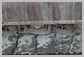 Komatsu<br>PC360LC-10 Guide de chaine<br>