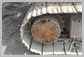 Komatsu<br>PC360LC-10 Final Drive<br>