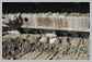 Komatsu<br>PC490LC-11 Track guide<br>