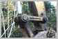 Komatsu<br>PC490LC-11 Attache - bras<br>