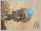 Komatsu<br>PC78US-8 Pump (main<br>hydraulic)<br>