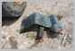 Komatsu<br>WA200-6 Fender (right rear)<br>