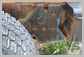 Komatsu<br>WA200-6 Pesee (addionnel)<br>