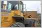 Komatsu<br>WA250-3 Aile (ARRD)<br>
