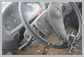 Komatsu<br>WA430-6 Controle<br>(transmission)<br>