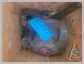Komatsu<br>WA500-6 Pompe (loader)<br>