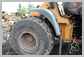 Liebherr<br>L556 Aile (AVG)<br>