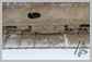 Volvo<br>EC300D Track guide<br>